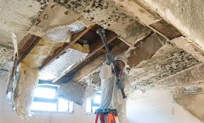 Sacramento, CA Mold Remediation Company